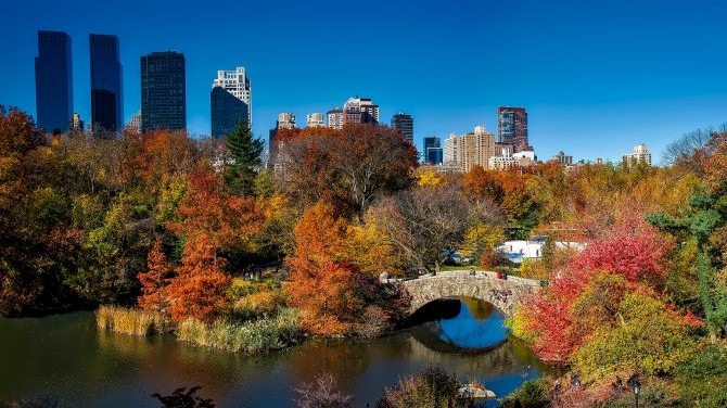 Fall in New York: 6 of the Best Things to See and Do