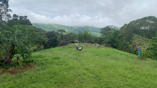 Vegan Travel Costa Rica – Farm of Life Review