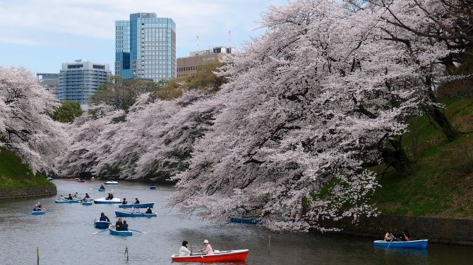 5 of the Best Things to See and Do in Tokyo in Spring