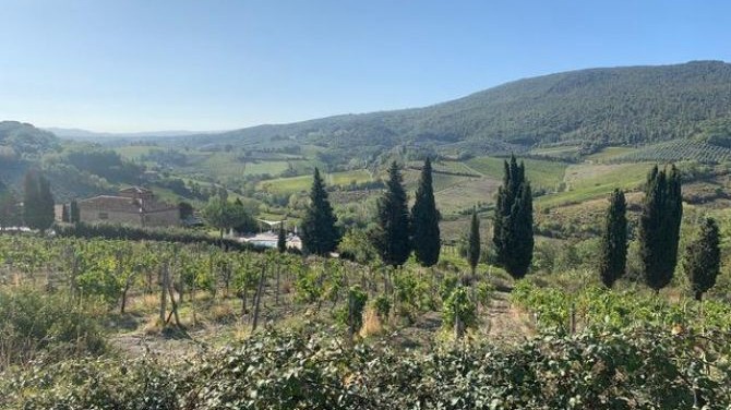 Vegan Travel Italy: Experiencing the Timeless and Enduring