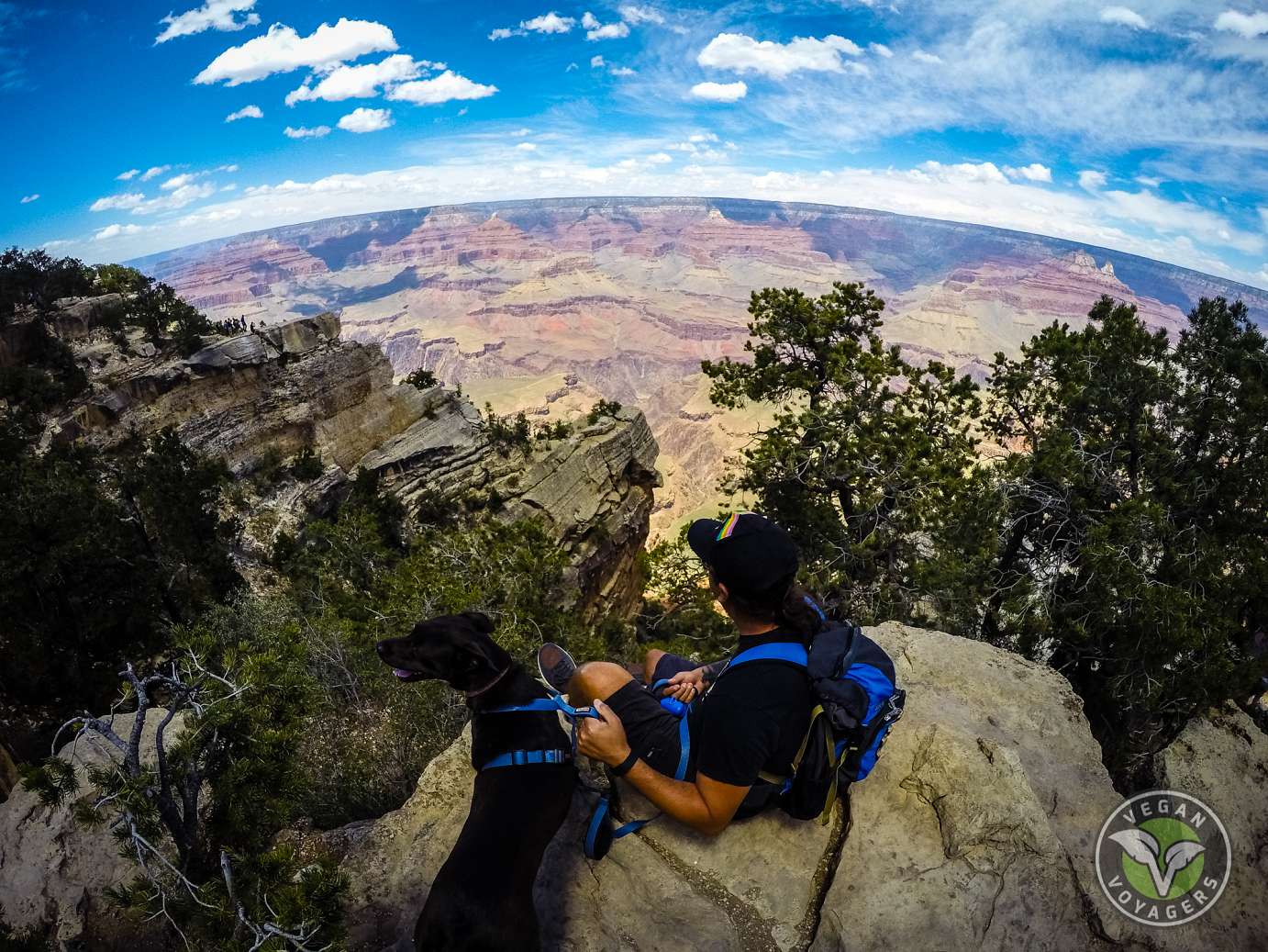 Lulu & Aaron - Grand Canyon