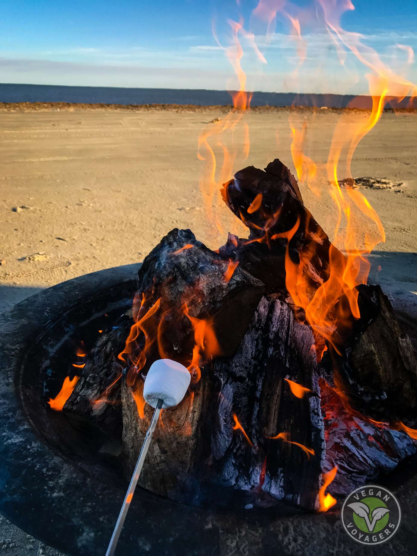 Roasting Marshmallows - Bolivar Flats