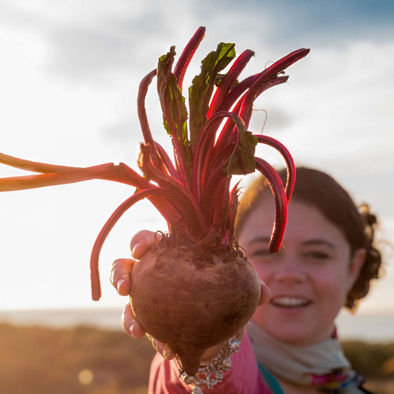 Giant Beetroot