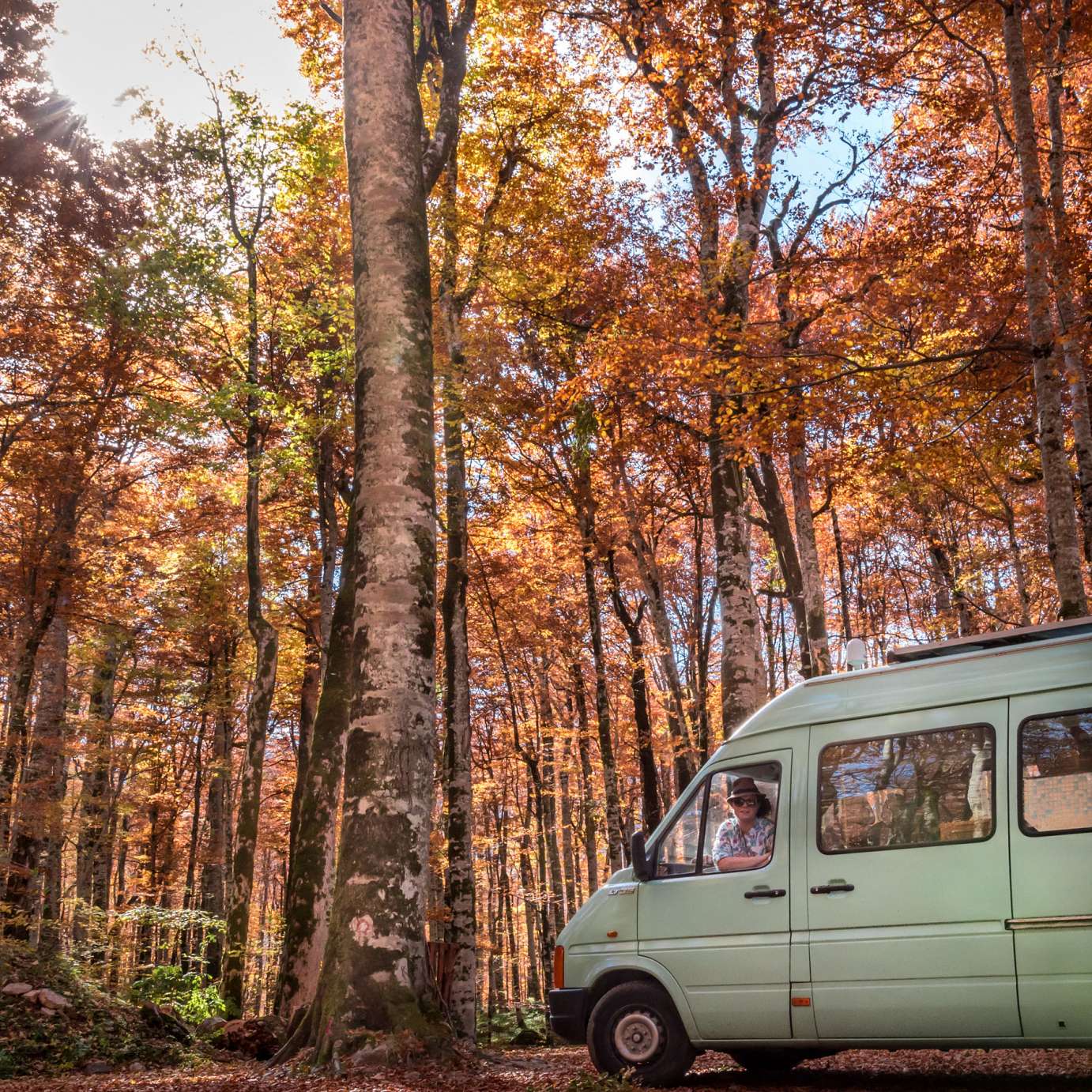 Biogradska national park Montenegro